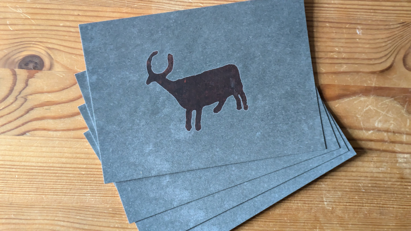Postcard RIST